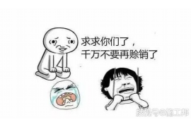 南平融资清欠服务